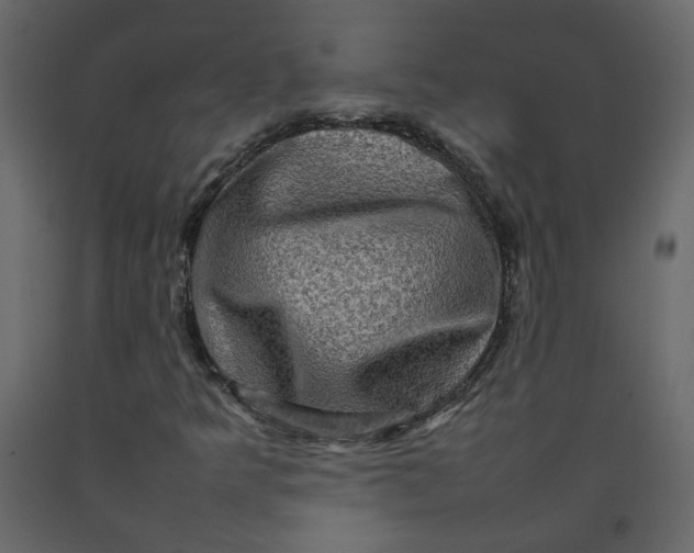 X0000092231349200710051211