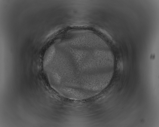 X0000092231350200710051211