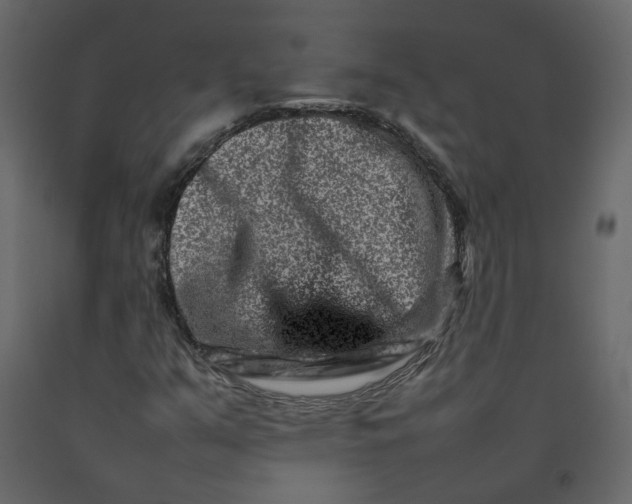 X0000092231351200710051211