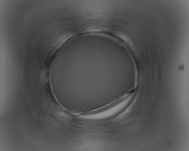 X0000092231353200710051211