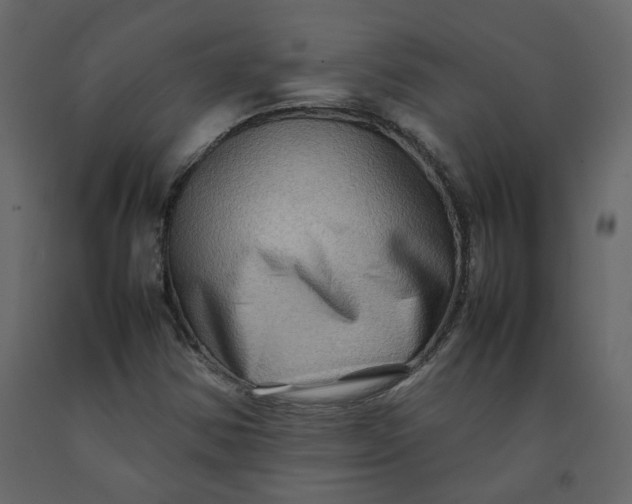 X0000092231354200710051211