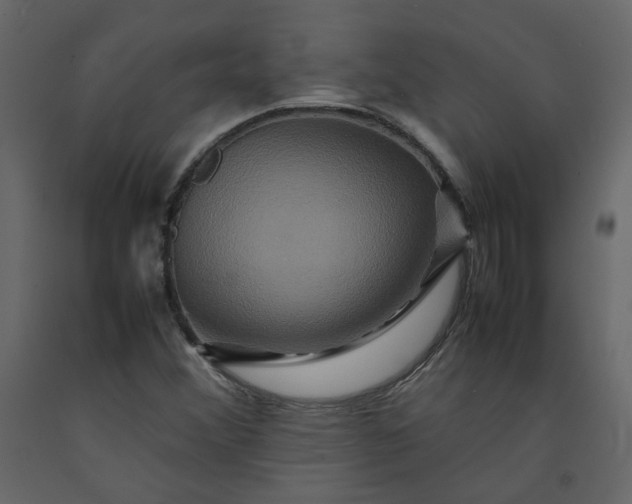 X0000092231356200710051211