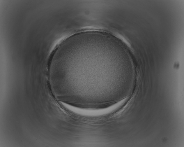 X0000092231357200710051211