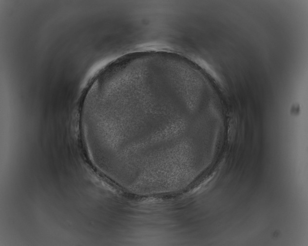 X0000092231358200710051211