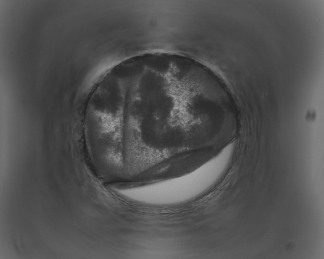 X0000092231359200710051211