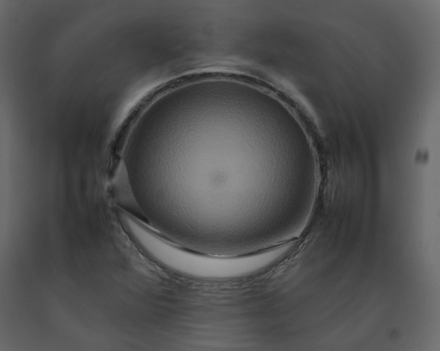 X0000092231360200710051211