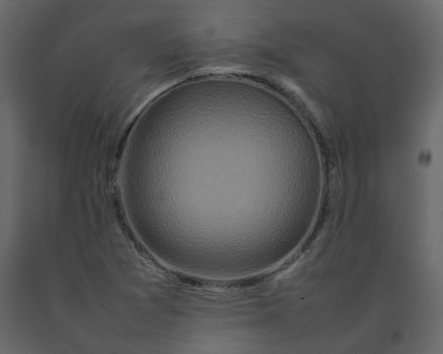 X0000092231361200710051211