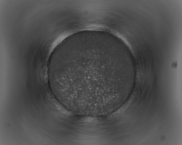 X0000092231362200710051211