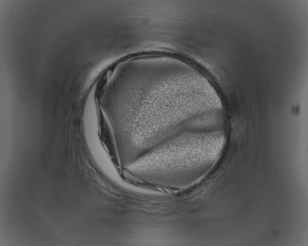 X0000092231363200710051211