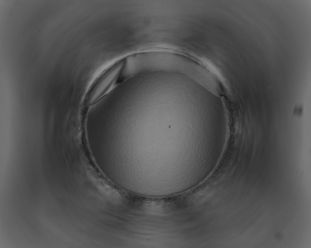 X0000092231364200710051211