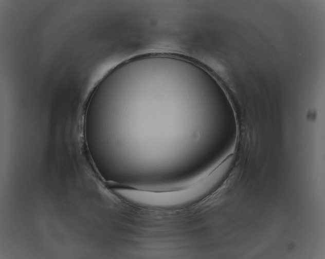 X0000092231366200710051210