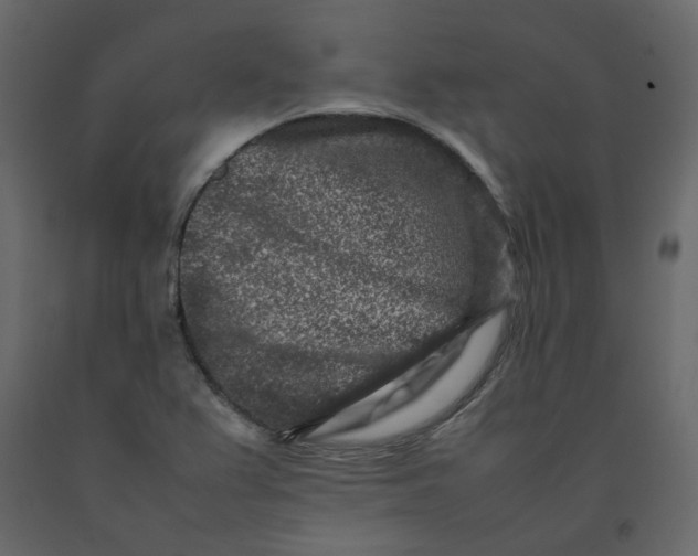 X0000092231367200710051210