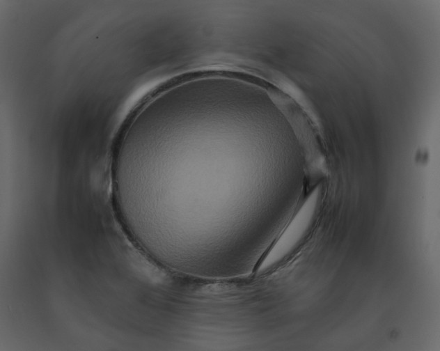 X0000092231368200710051210