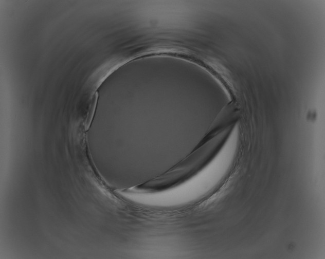 X0000092231369200710051210