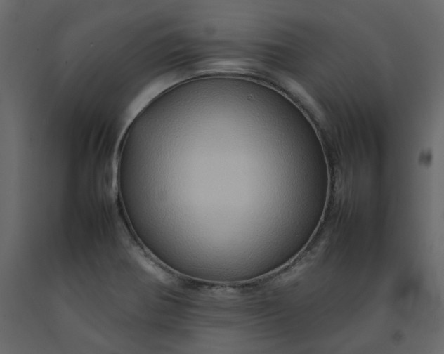 X0000092231370200710051210