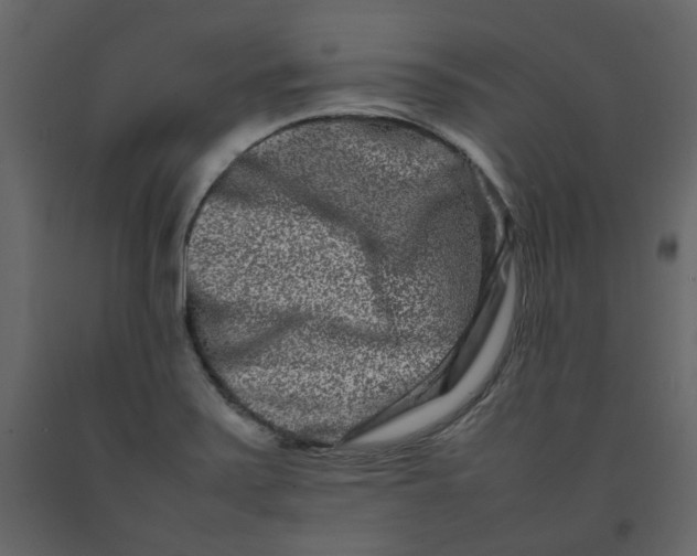 X0000092231371200710051210