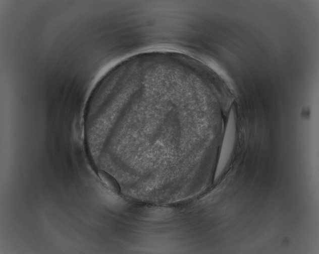 X0000092231372200710051210