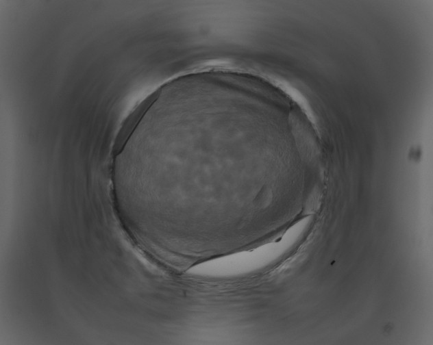 X0000092231373200710051210