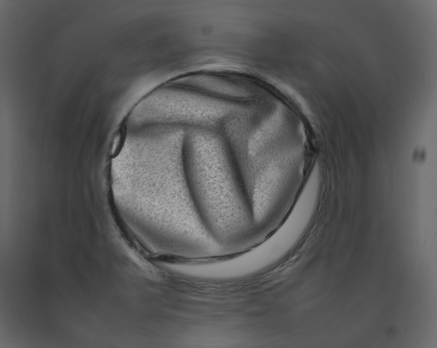 X0000092231375200710051210