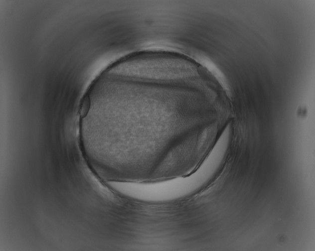 X0000092231376200710051210