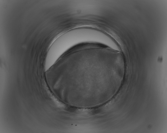 X0000092231377200710051210