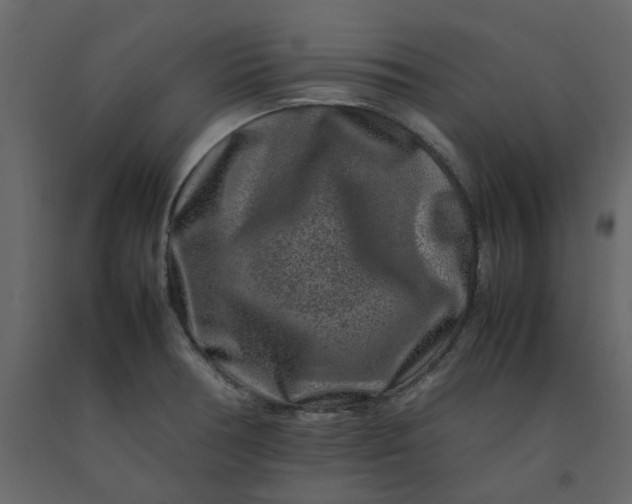 X0000092231378200710051210