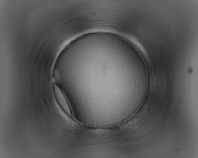 X0000092231380200710051210