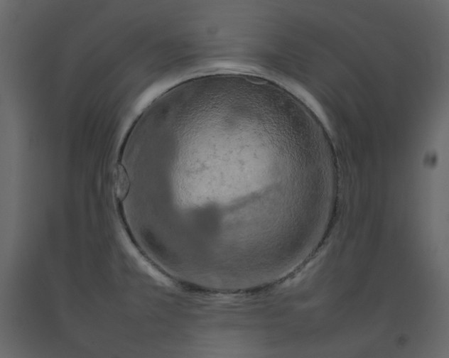 X0000092231381200710051210