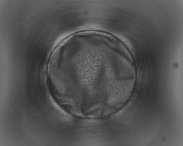 X0000092231382200710051210