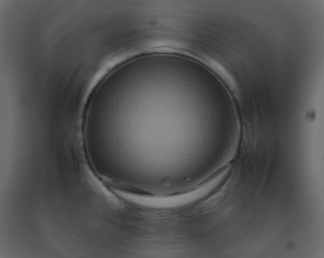 X0000092231384200710051210