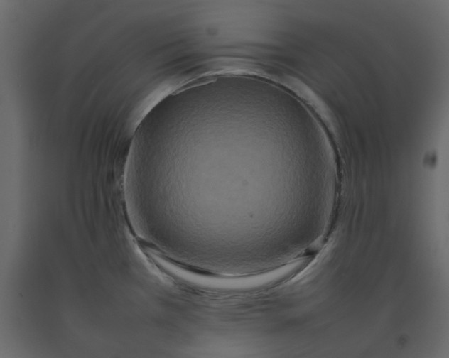 X0000092231385200710051210