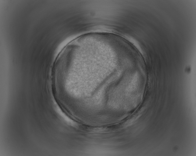 X0000092231387200710051210