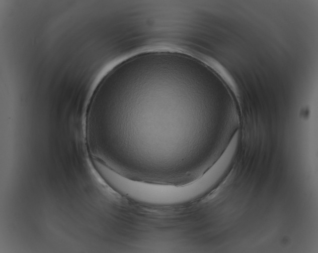 X0000092231388200710051210