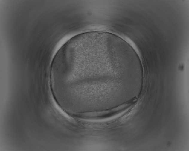 X0000092231389200710051210