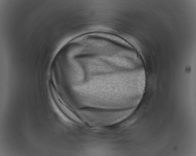 X0000092231391200710051210