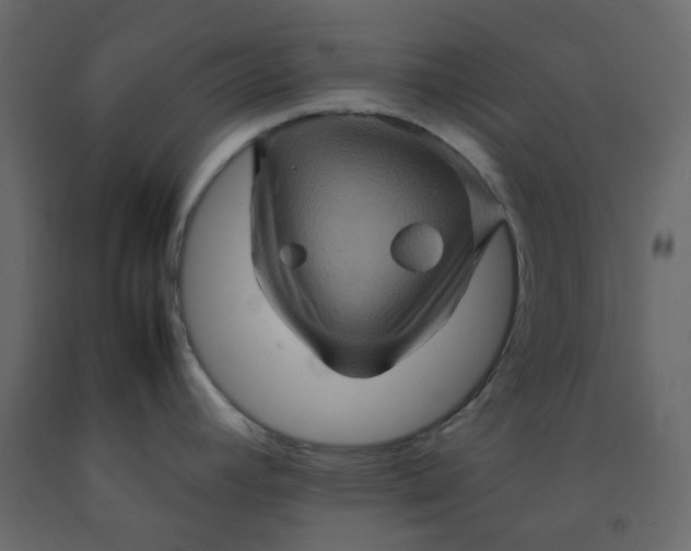 X0000092231392200710051210