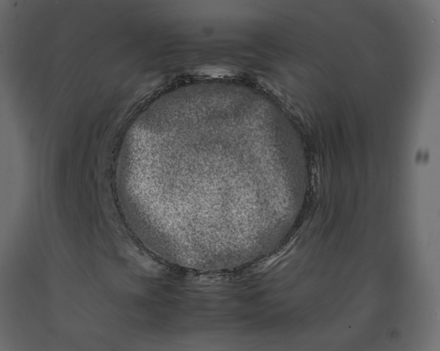 X0000092231393200710051209