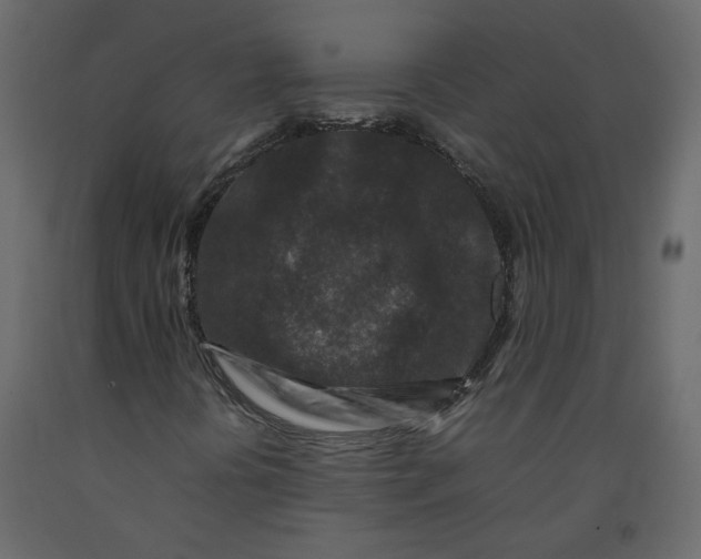 X0000092231394200710051209