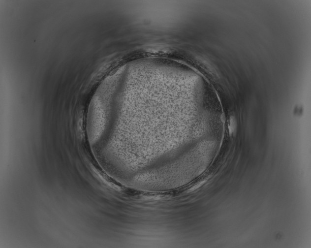 X0000092231396200710051209