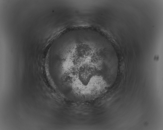 X0000092231397200710051209