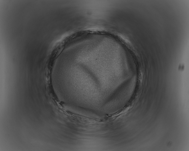 X0000092231398200710051209