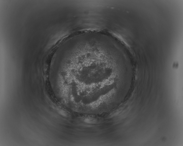 X0000092231399200710051209