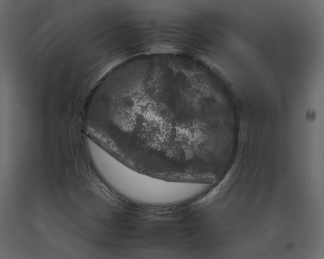 X0000092231401200710051209