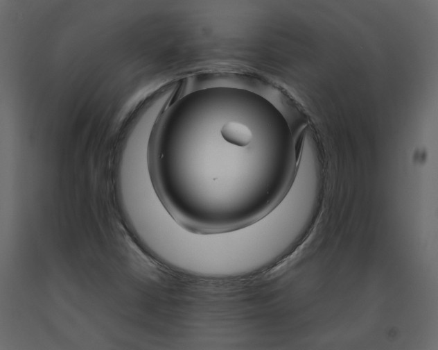 X0000092231402200710051209