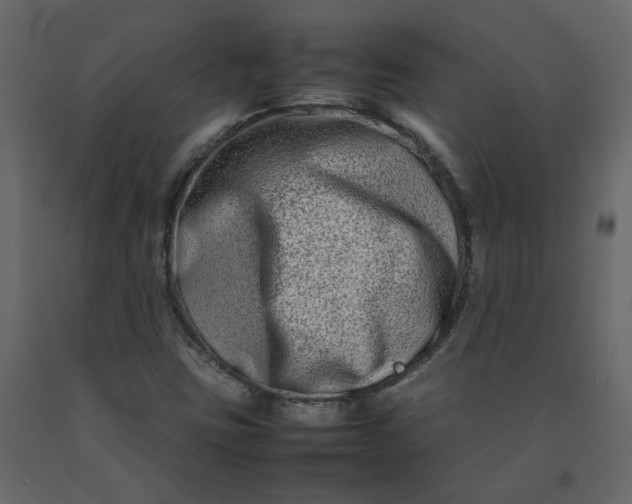 X0000092231403200710051210