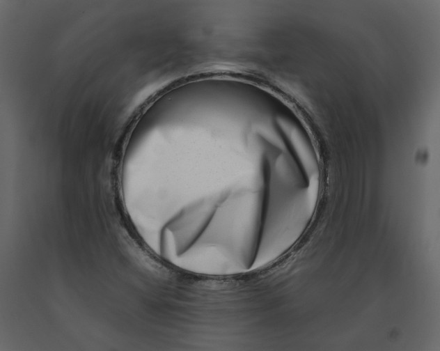 X0000092231404200710051210