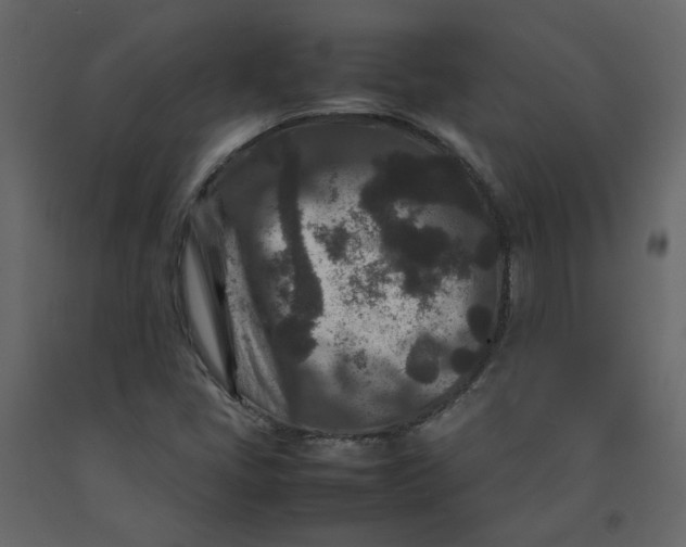 X0000092231405200710051210