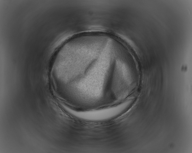 X0000092231407200710051210