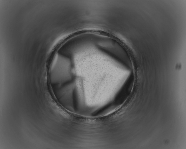 X0000092231408200710051210