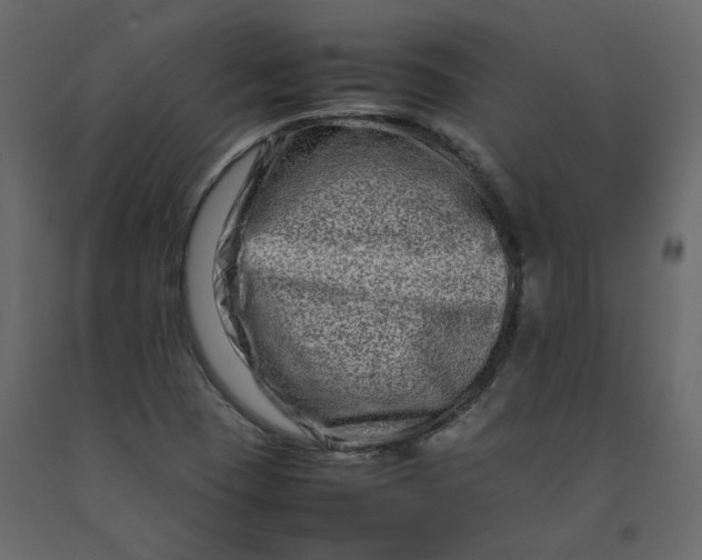 X0000092231409200710051210